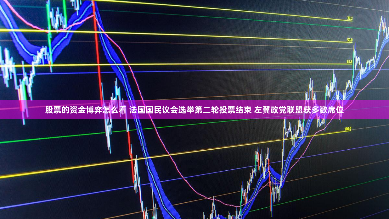 股票的资金博弈怎么看 法国国民议会选举第二轮投票结束 左翼政党联盟获多数席位